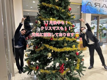 新型クロスビーのご紹介☆彡